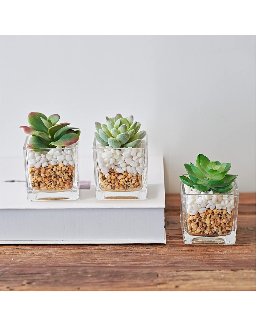 MOTINI Small Artificial Succulent Plants Mini Fake Plants Potted Transparent Glass Pot with Pebble Faux Plants Decoration for Bathroom Home House Office Table Decor Set of 3