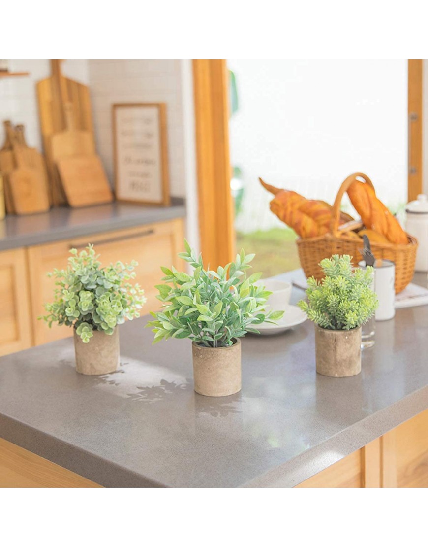 THE BLOOM TIMES Set of 3 Small Fake Plants Plastic Rustic Faux Potted Greenery Eucalyptus Boxwood Artificial Plants in Pots for Home Office Desk Farmhouse Bathroom Kitchen Shelf Indoor Decor