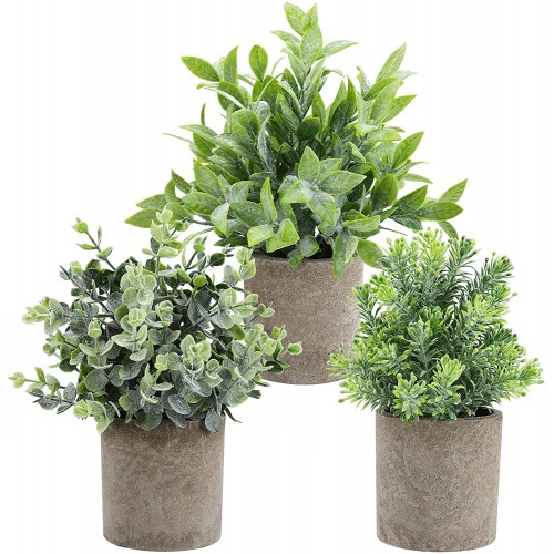 THE BLOOM TIMES Set of 3 Small Fake Plants Plastic Rustic Faux Potted Greenery Eucalyptus Boxwood Artificial Plants in Pots for Home Office Desk Farmhouse Bathroom Kitchen Shelf Indoor Decor