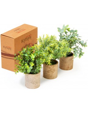 Kitzini Topiary Balls. 3 Fake Plants: Clipped Succulent White & Purple Blossom. Realistic Artificial Plants for Home Decor Indoor. Gift Boxed. Premium Pot Set.