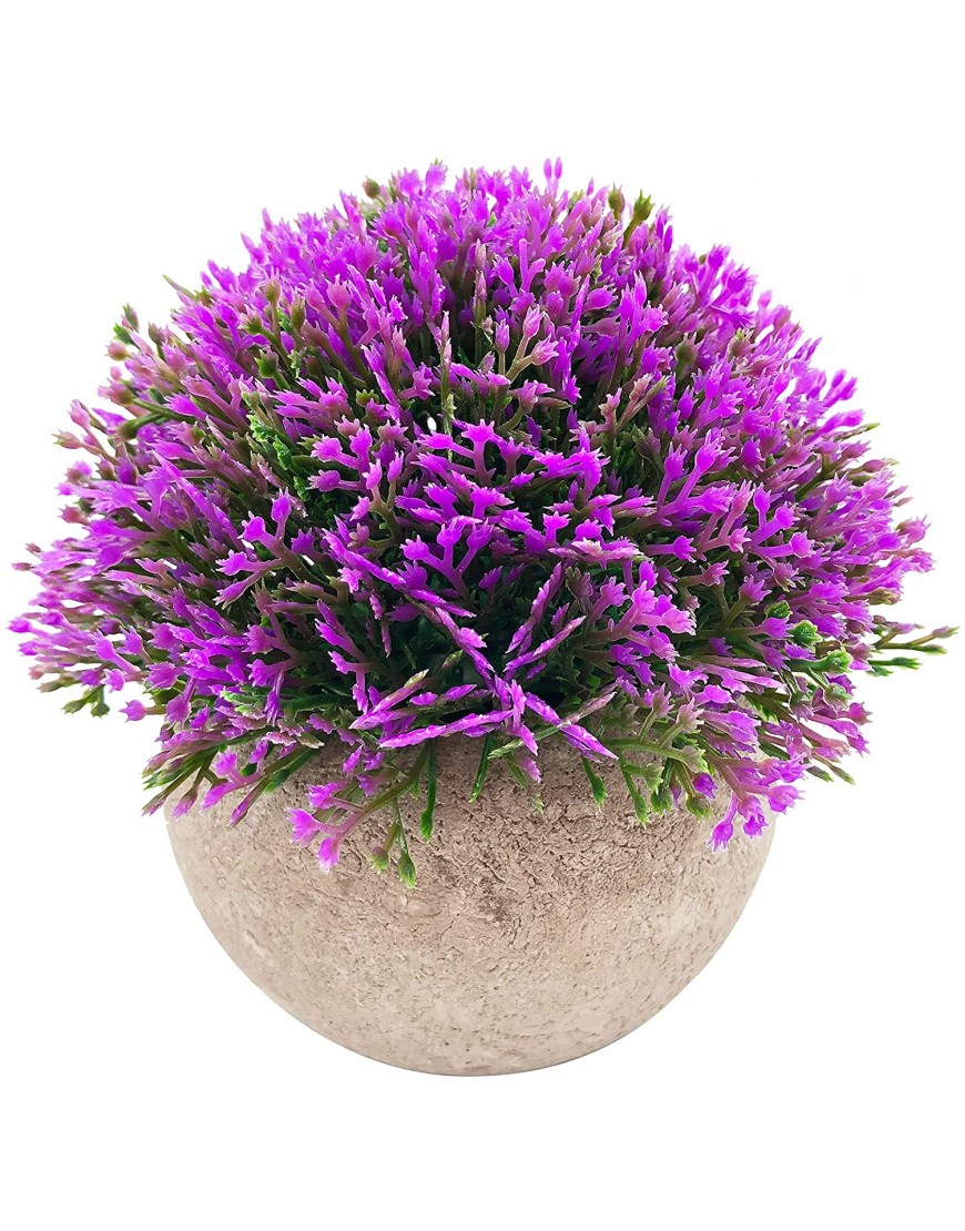 VIHOGFINT Cute Little Fake Faux Plant Grass Shrubs Bathroom Shelf Small Space Decorations,Pack of onePurple Lotus Seed Grass Pulp