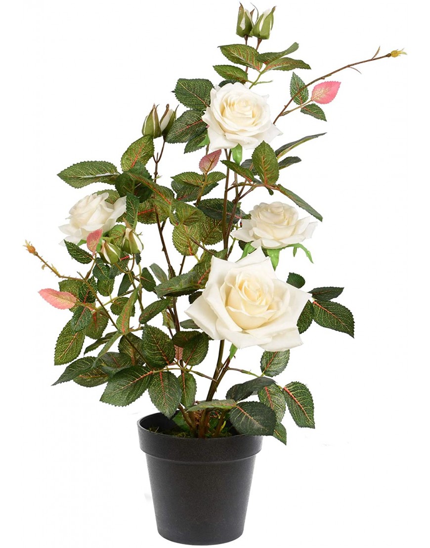 Vickerman Everyday 21 Indoor Artificial White Rose Plant Black Plastic Pot Lifelife Home Or Office Decor Faux Potted Bush Maintenance Free