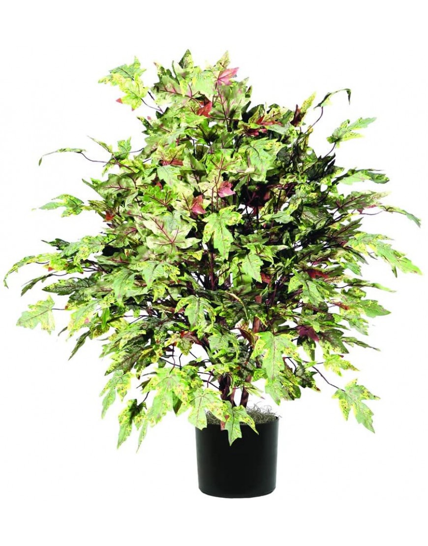 Vickerman Everyday 4' Artificial Frosted Maple Extra Full Bush In A Black Plastic Pot Realistic Indoor Greenery Decor Faux Potted Decoration For Home Or Office Accent