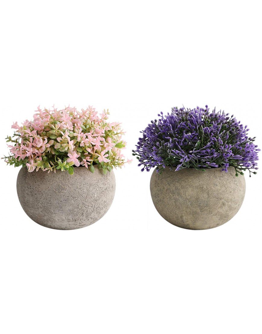 THE BLOOM TIMES 2 PCS Small Fake Plants Artificial Mini Potted Plants Faux Plants Indoor for Home Farmhouse Bathroom Office Desk Decor